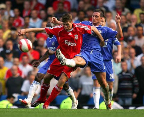 活力和适应 活力和适应